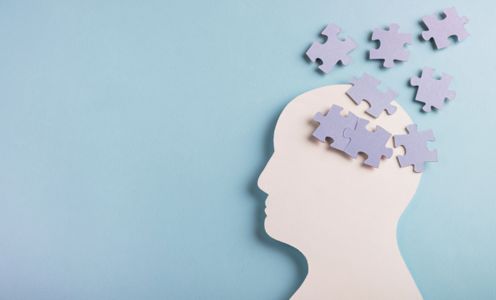 An icon of a human with jigsaw pieces spread out around their head.